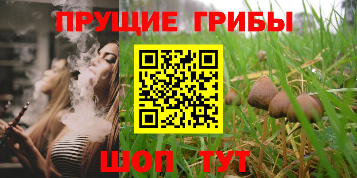 наркотики  Псилоцибиновые грибы Psilocybine cubensis  Вход с VPN  Ноябрьск 